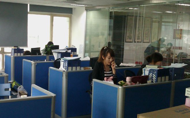 桥梁板式橡胶支座与模数式伸缩缝在市政工程中的协同应用解析